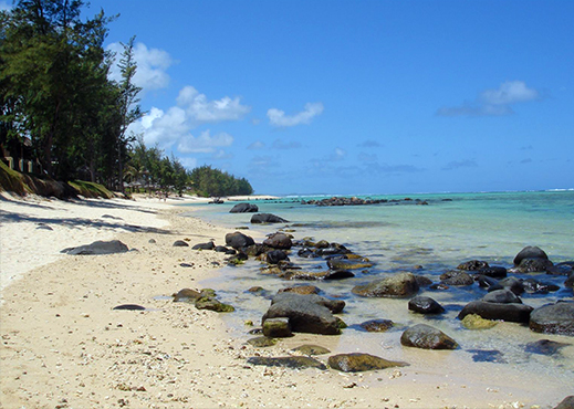 bel ombre mauritius